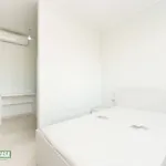 Rent 1 bedroom apartment of 30 m² in Milan