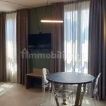 Rent 1 bedroom apartment of 30 m² in Turin