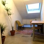 Rent 1 bedroom apartment of 95 m² in Karlsruhe