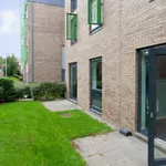 Rent 1 bedroom apartment in Bradford