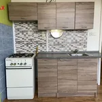 Rent 1 bedroom apartment of 39 m² in Chomutov