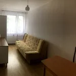 Rent 2 bedroom apartment of 33 m² in Bydgoszcz