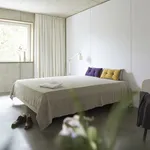 Rent 1 bedroom apartment of 25 m² in Cologne