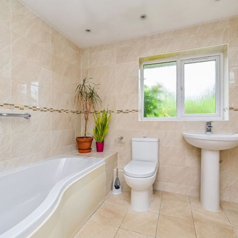 Detached house to rent in Lymington Bottom, Four Marks, Alton GU34 Bentworth