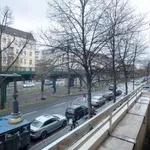 Rent 1 bedroom apartment of 71 m² in berlin