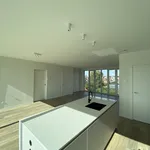 Rent 1 bedroom apartment in Geel