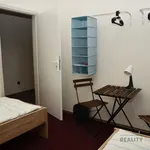 Rent 1 bedroom apartment of 12 m² in Kuřim