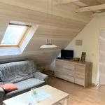 ***Gemütliches Apartment mit separatem Eingang in Stadtrandlage***