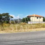 Rent 3 bedroom house of 300 m² in Καπανδρίτι