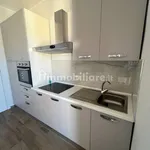 Rent 3 bedroom apartment of 80 m² in Pinerolo