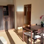 Rent 1 bedroom apartment of 25 m² in Kielce