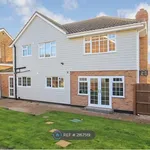 Rent 4 bedroom house in East Of England