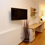 Rent 1 bedroom apartment of 35 m² in Vienna