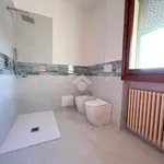 Rent 3 bedroom apartment of 100 m² in Canneto sull'Oglio