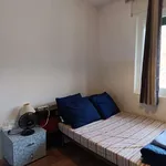 Rent a room in padua