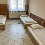 Rent 9 bedroom house of 200 m² in Székesfehérvár