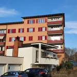 Schöne Wohnung mit traumhafter Aussicht in Neuhausen