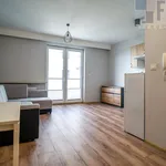 Rent 1 bedroom apartment of 25 m² in Łódź