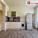 Rent 1 bedroom apartment of 25 m² in Ústí nad Labem