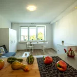 Rent 1 bedroom apartment of 22 m² in Łódź