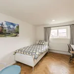 Rent a room of 113 m² in prague