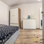 Rent 1 bedroom apartment of 10 m² in Wrocław