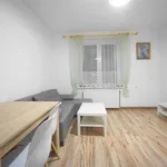 Rent 1 bedroom apartment of 33 m² in Zabrze