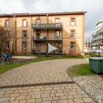 Rent 2 bedroom apartment of 60 m² in Frankfurt