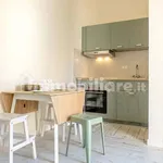 Rent 2 bedroom apartment of 60 m² in Livorno