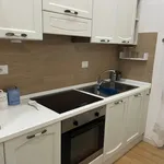 Rent 2 bedroom apartment of 50 m² in Roma