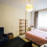 Rent a room of 24 m² in brussels