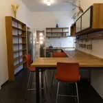 Pronajměte si 1 ložnic/e byt o rozloze 88 m² v Prague