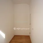 Rent 5 bedroom apartment in Budapest