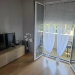 Najam 1 spavaće sobe stan od 46 m² u Matulji