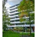 Rent 3 bedroom apartment in Basel