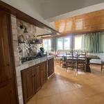 Rent 5 bedroom apartment of 90 m² in San Felice Circeo