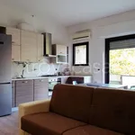 Rent 2 bedroom apartment of 55 m² in Cremona