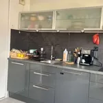 Rent 2 bedroom apartment of 48 m² in Marseille