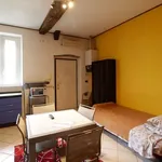 Rent 1 bedroom apartment of 45 m² in turin