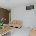 Rent 3 bedroom apartment of 76 m² in Banne Buiksloot