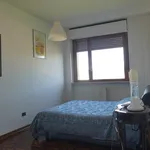 Rent 5 bedroom apartment of 130 m² in Modena