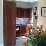 Rent 3 bedroom apartment of 60 m² in Campagnatico