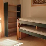 Alquilar 3 dormitorio apartamento en alicante