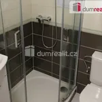 Rent 1 bedroom apartment of 29 m² in Dolní Benešov