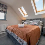 Rent 1 bedroom flat of 398 m² in Belfast