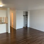  appartement avec 1 chambre(s) en location à Montreal