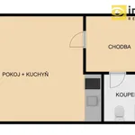 Rent 1 bedroom apartment in Železná Ruda