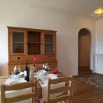 Via delle rose, Turin - Amsterdam Apartments for Rent