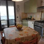 Rent 3 bedroom apartment of 80 m² in Mirandola