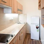 Rent 1 bedroom apartment of 30 m² in Brno